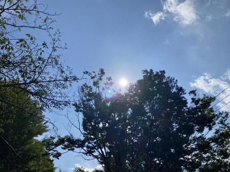 雲と空21 雲と空21の写真
