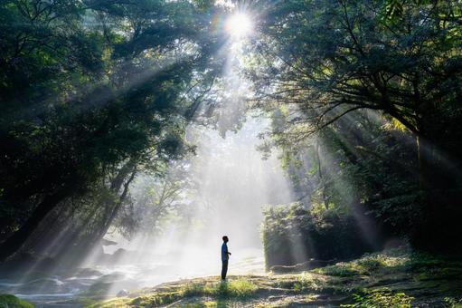 熊本-【菊池渓谷の光芒】 熊本,菊池渓谷,川の写真素材
