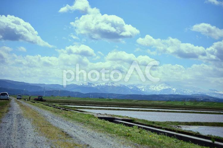 みちのく田植え風景3 空,青空,快晴の写真素材