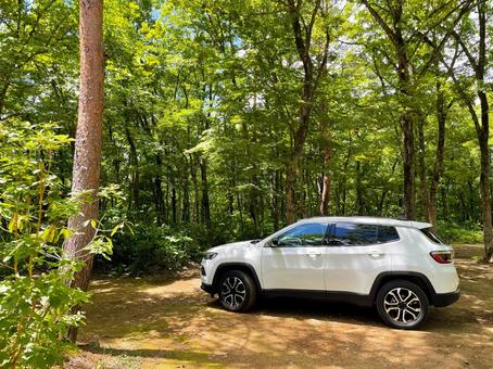 車 suv,アウトドア,車の写真素材