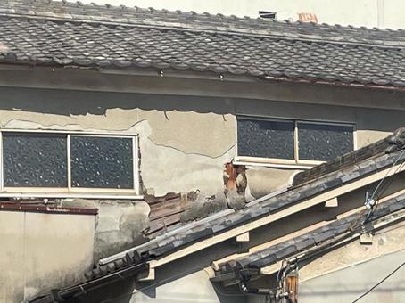 外壁　傷み　ひび割れ　外壁修理　修理工事 外壁,破損,コンクリートの写真素材