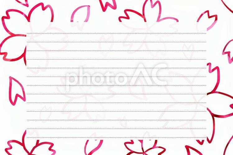 桜のレター素材 桜,ポストカード,レターの写真素材