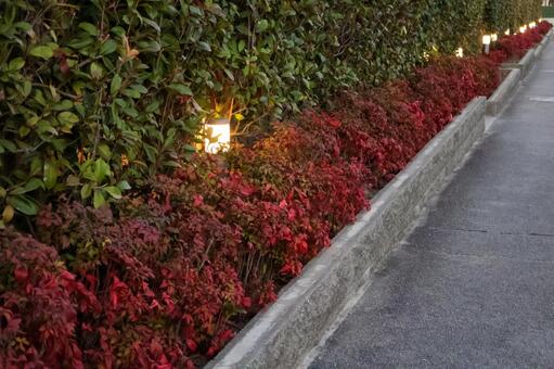 マンションのエクステリアとガーデンライト エクステリア,外構,マンションの写真素材