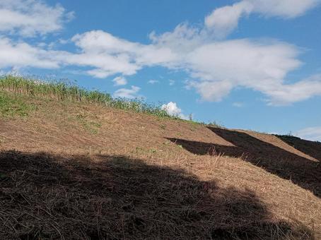 秋の土手 土手,秋,11月の写真素材