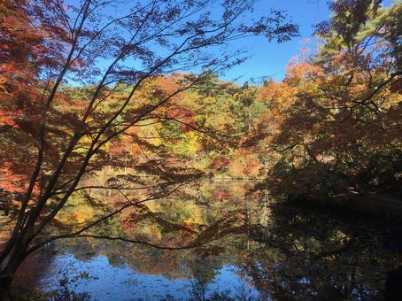 紅葉の山と池 紅葉の山と池の写真