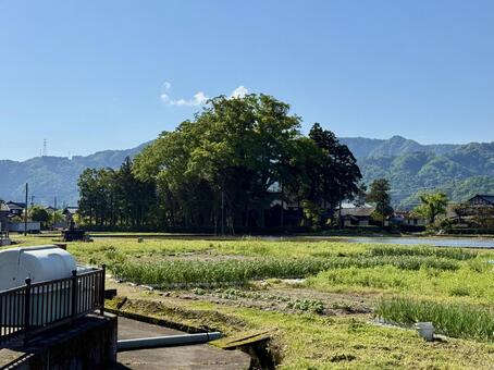 5月　春ののどかな風景　永平寺町 道路,のどかな風景,景色の写真素材