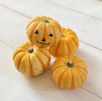 カボチャ カボチャ,プッチーニ,ハロウィンの写真素材