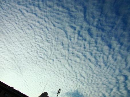照片, 羊雲, 鱗雲, 天空, 