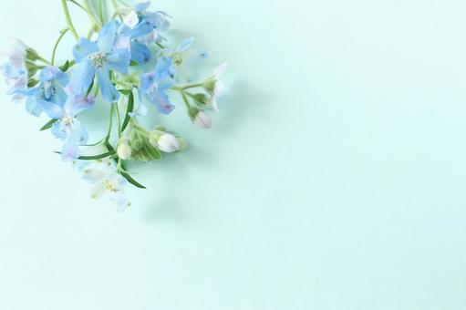 青い花の背景 青い花の背景の写真