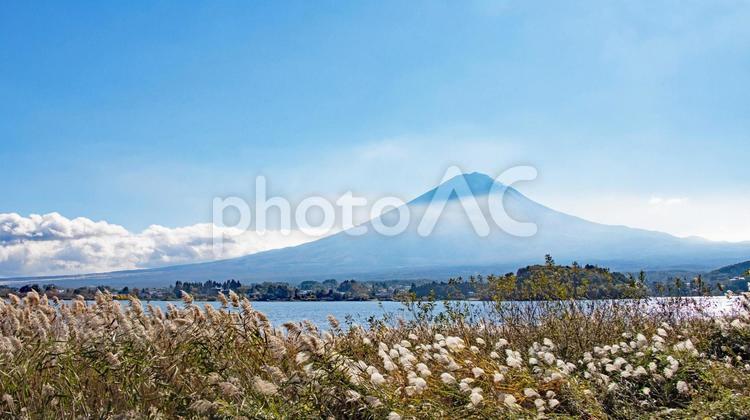ススキの原っぱと湖と富士山 富士山,ススキの原,湖の写真素材