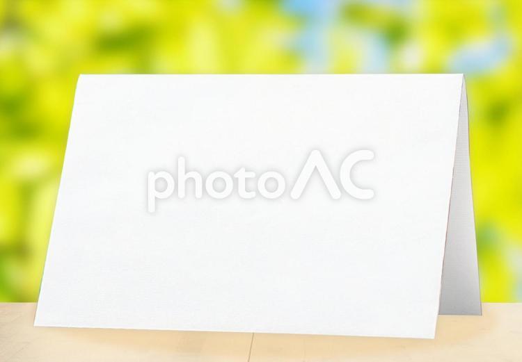 爽やかな印象のフレーム 新緑,自然,ナチュラルの写真素材