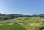 里山の棚田 風景,棚田,田んぼの写真素材
