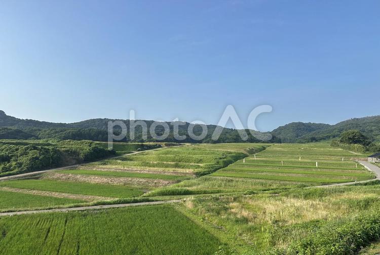 里山の棚田 風景,棚田,田んぼの写真素材