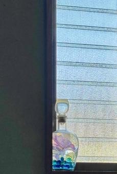 窓際のビン花 窓際のビン花 ビン,花,青の写真素材