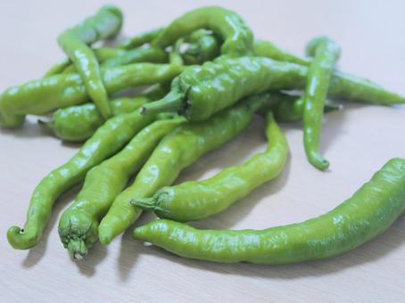 Photo, vegetables, summer vegetables, shishito, 