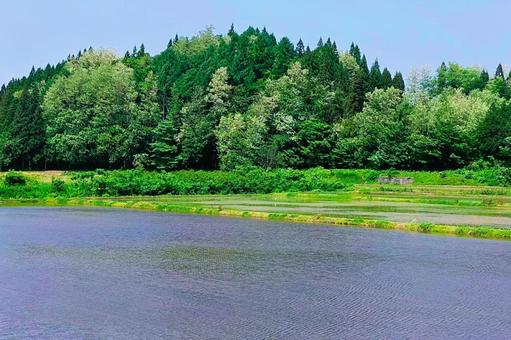 2025年6月の里山24 2025年6月の里山24 代かき後,水鏡,反射の写真素材
