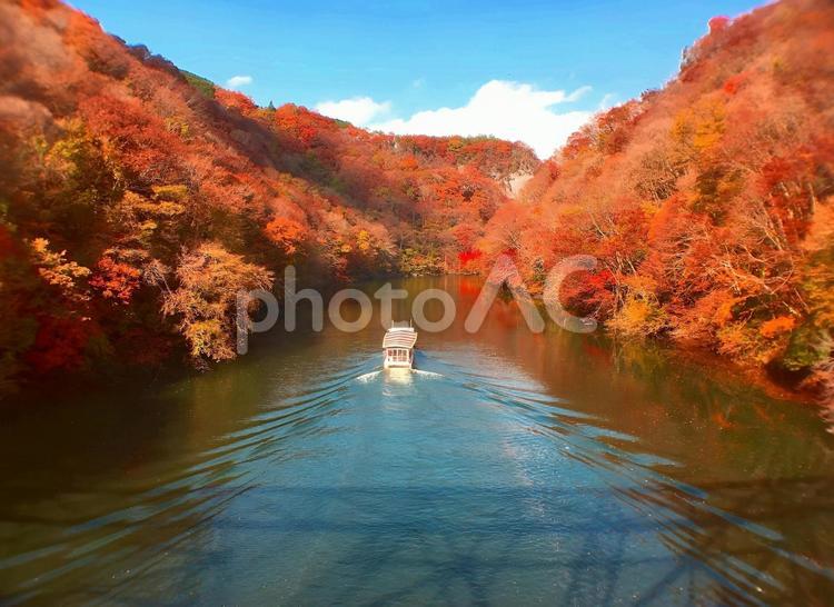 【紅葉写真】帝釈峡の美しい紅葉 紅葉,帝釈峡,神龍湖の写真素材