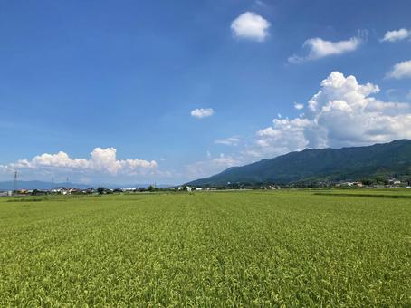 夏の空と雲と山と田んぼ 夏の空と雲と山と田んぼの写真