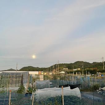 秋の風景 秋の風景の写真