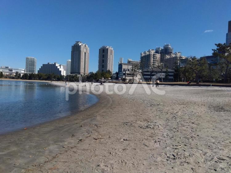 お台場　海辺 自然,お台場,海浜公園の写真素材