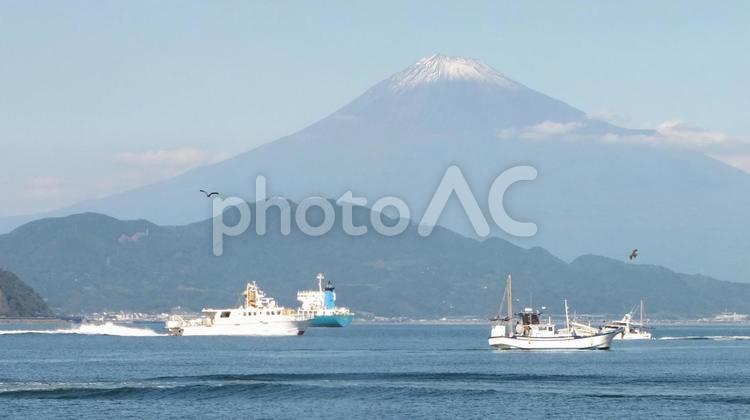 秋の冠雪の富士山と集まった船舶 船,漁船,大型漁船の写真素材