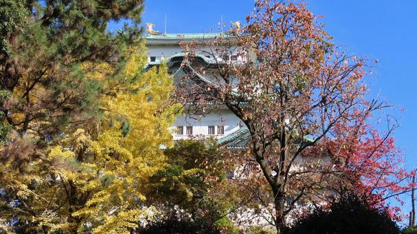 名古屋城　天守　大天守 名古屋城,尾張徳川家,御三家の写真素材