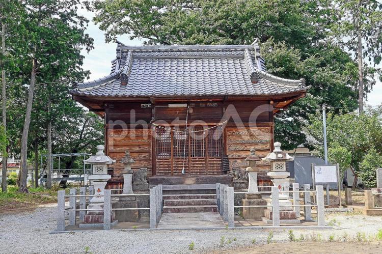 大袋白髭神社（川越） 大袋白髭神社,猿田彦命,清寧天皇の写真素材