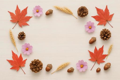 秋の収穫とコスモスフレームの写真