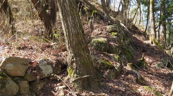 宇佐山城 城跡の風景 石垣 宇佐山城 城跡の風景 石垣の写真