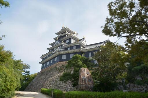 岡山城 岡山城,城,天守閣の写真素材