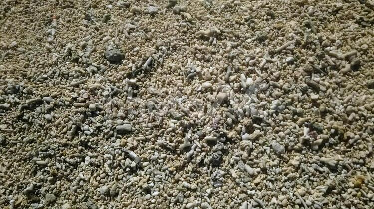 サンゴ　砂　テクスチャ　ナガンヌ島 珊瑚,サンゴ,テクスチャの写真素材