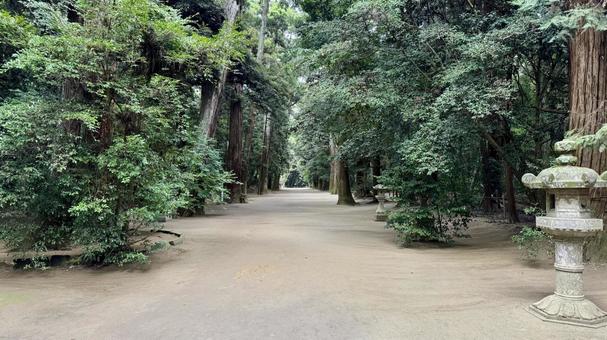 境内自然 境内自然 鹿島神宮,奥宮,観光地の写真素材