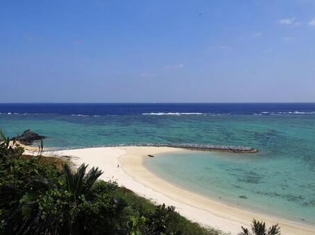 沖縄のビーチ 沖縄,島,南国の写真素材