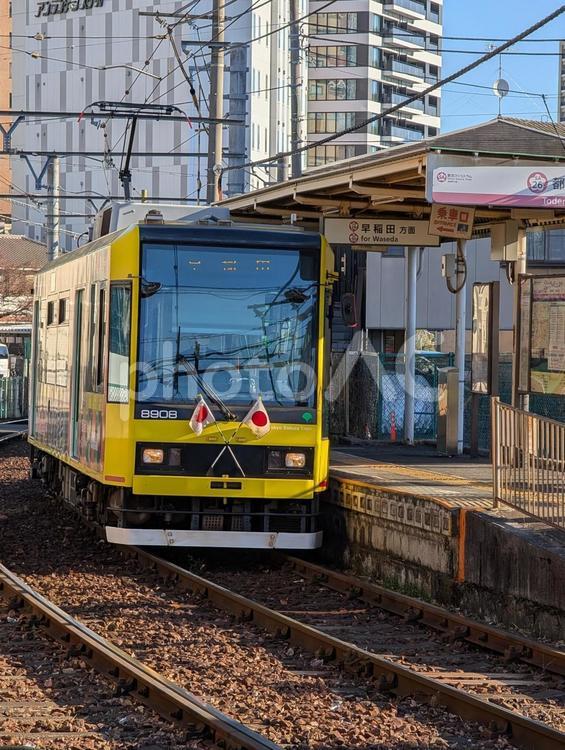 東京さくらトラム（都電荒川線） 東京さくらトラム,都電荒川線,鉄道の写真素材