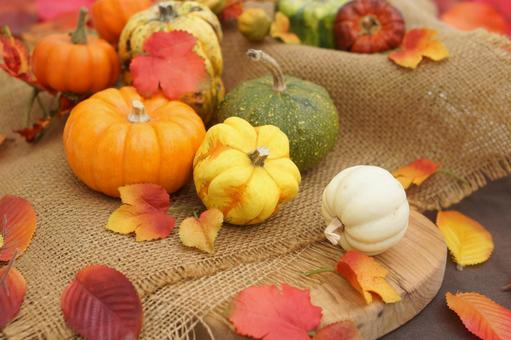 ハロウィン いろいろなカボチャを飾って ハロウィン いろいろなカボチャを飾って ハロウィン,ハロウィンのイメージ,カボチャの写真素材