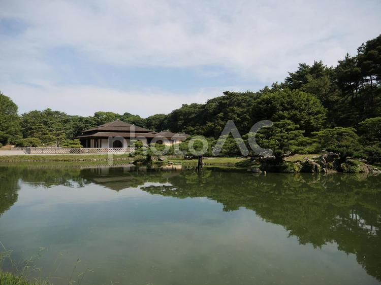 栗林公園の新緑 自然,風景,木の写真素材