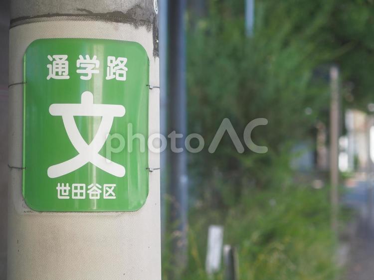 通学路の看板（電柱に設置・世田谷区） 通学路,電信柱,世田谷区の写真素材