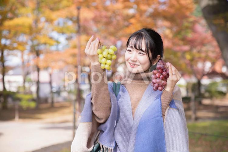 秋の公園でブドウを持つ女性 フルーツ,ブドウ,ぶどう狩りの写真素材