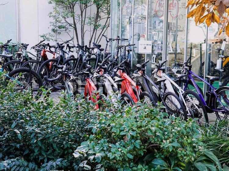 複数の自転車 自転車,ビル,窓の写真素材
