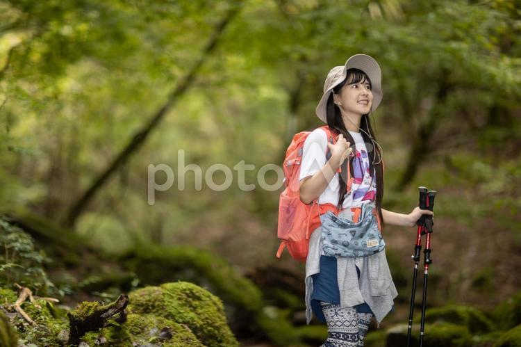 遠くを見ている女性（森林浴） 女性,御岳山,帽子の写真素材