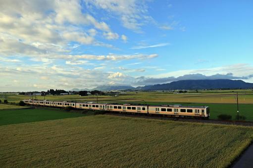 田園風景と電車 田園風景と電車 田園風景,稲穂,電車の写真素材