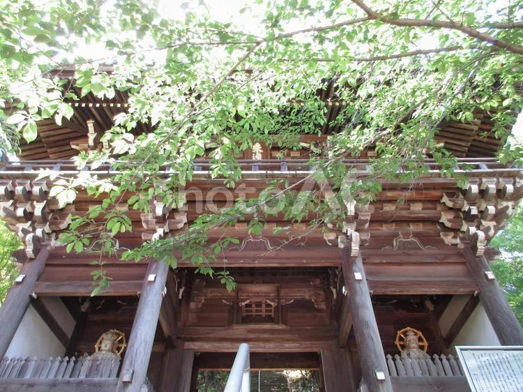 香川県-法然寺-文殊楼 法然寺,寺,仏生山の写真素材