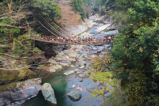 かずら橋 かずら橋の写真