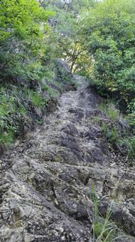 険しい登山道④ 険しい登山道④の写真