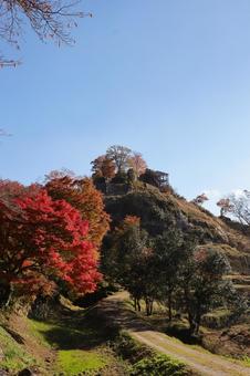紅葉と苗木城 苗木城,苗木城跡,紅葉の写真素材