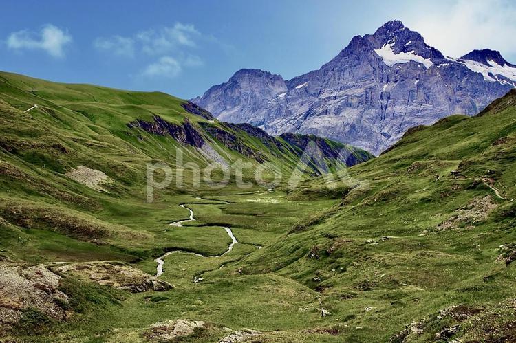 アルプスを望む登山道の風景 スイス,アルプス,山の写真素材