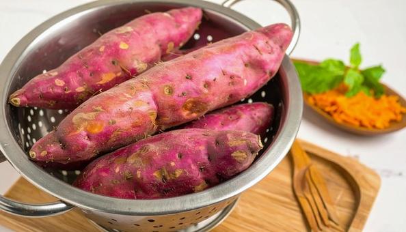 ザルに乗ったさつま芋 泥付き ザルに乗ったさつま芋 泥付きの写真