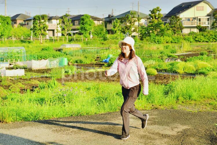 人物　朝の畑をジョギングする女性 02 女性,朝,ジョギングの写真素材