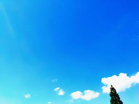 夏の空 夏の空の写真