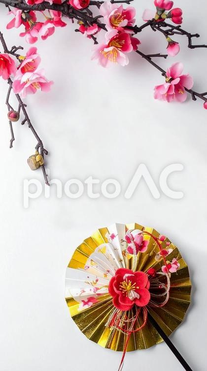 年賀状背景　八重桜　梅　正月飾り　白背景 年賀状,白背景,梅の写真素材